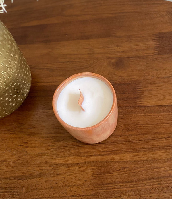 Coconut Scent Handmade Ceramic Soy Wax Candle - FineFamilyGoods